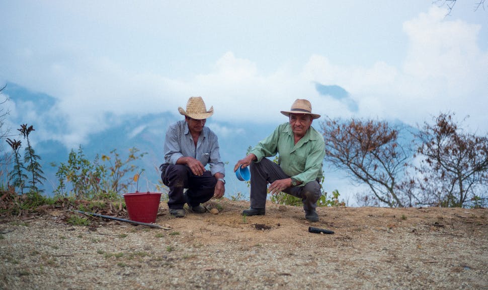 «Les forêts tropicales sèches sont parmi les habitats les plus menacés au monde».